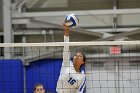 Volleyball vs Babson  Wheaton Women's Volleyball vs Babson College. - Photo by Keith Nordstrom : Wheaton, Volleyball, VB